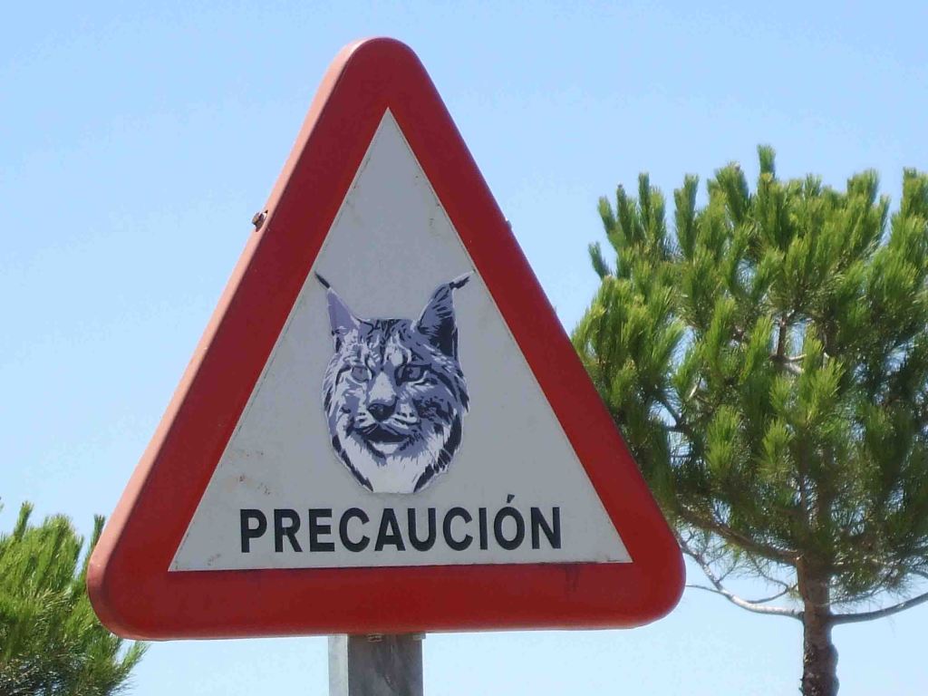 Centro de Visitantes el Acebuche