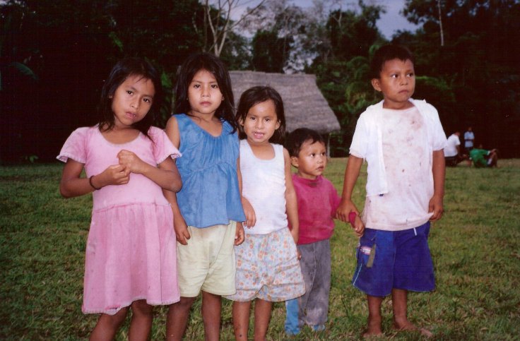 Amazonas, el pulmón de la tierra