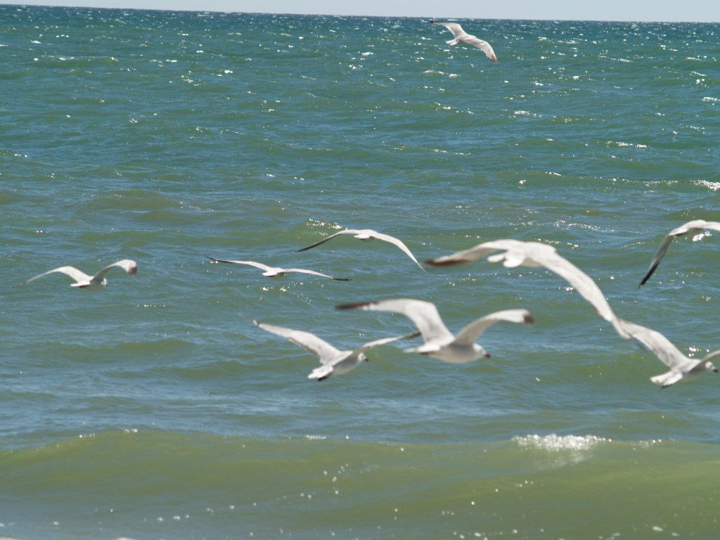 playas de arenas vírgenes